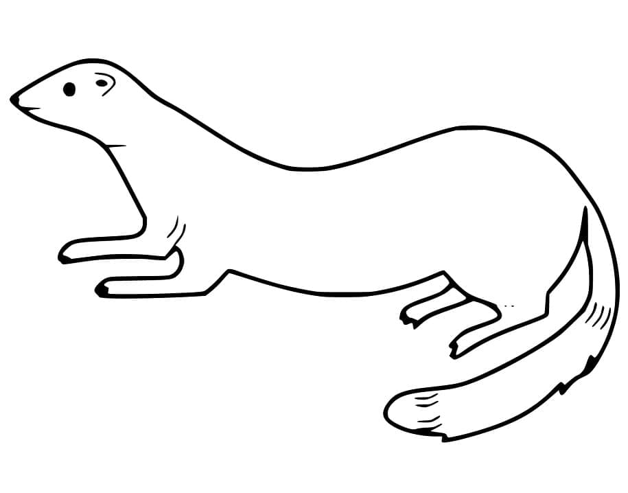 Free printable Weasel coloring page #205436 from Animals collection