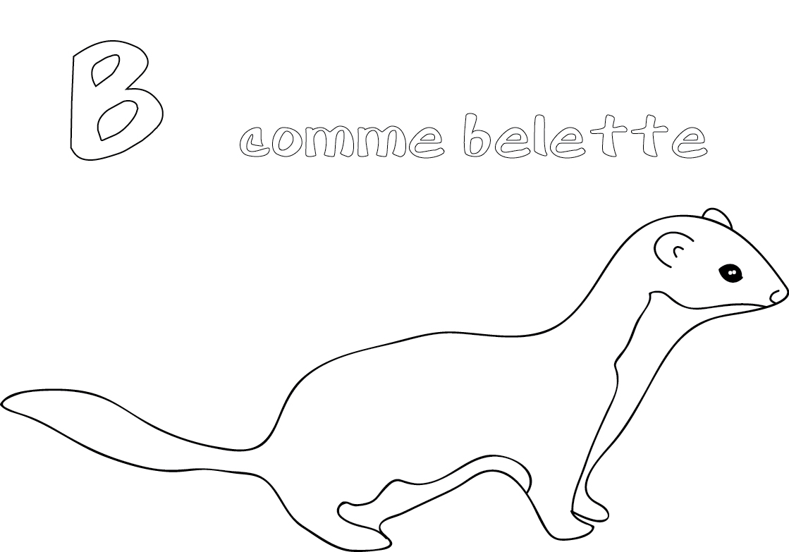 Download Weasel (Animals) - Printable coloring pages
