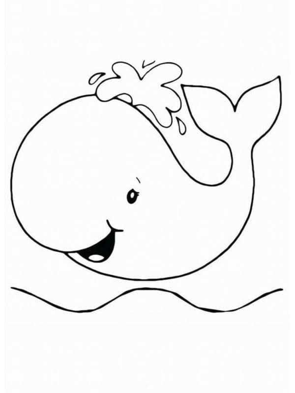 Free printable Whale coloring page #184674 from Animals collection