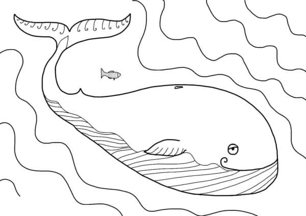 Free printable Whale coloring page #184678 from Animals collection