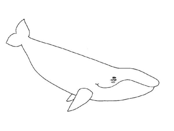 Free printable Whale coloring page #184682 from Animals collection