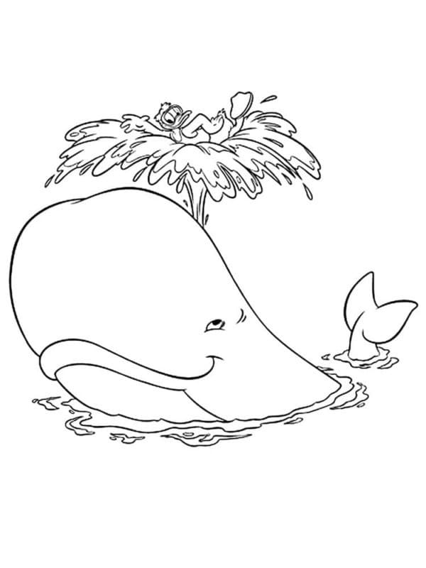 Free printable Whale coloring page #184684 from Animals collection