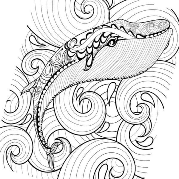 Free printable Whale coloring page #184685 from Animals collection Free printable Whale coloring page #184685 from Animals collection