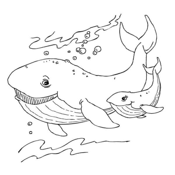 Free printable Whale coloring page #184686 from Animals collection