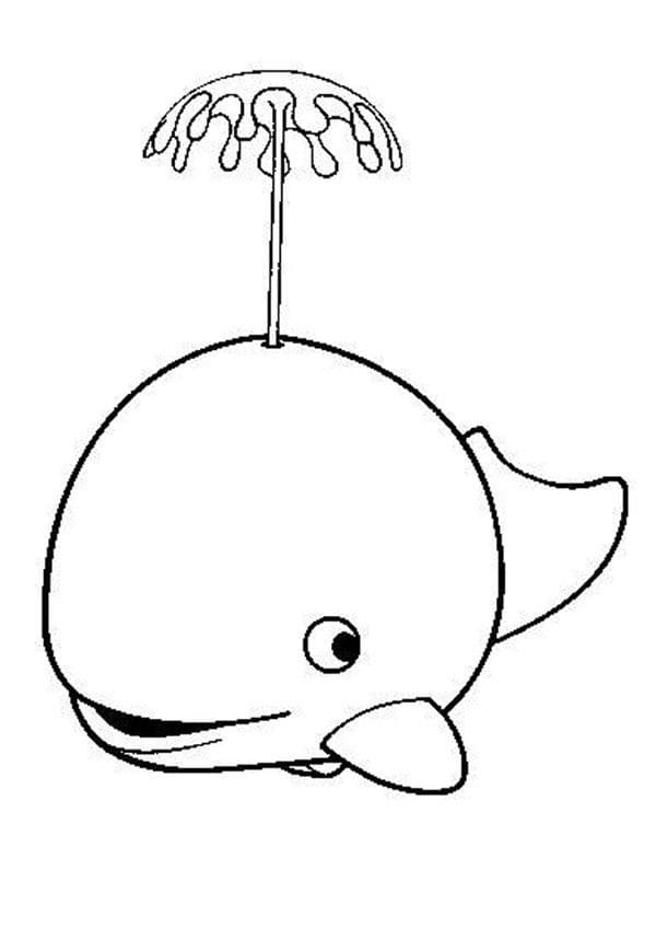 Free printable Whale coloring page #184704 from Animals collection