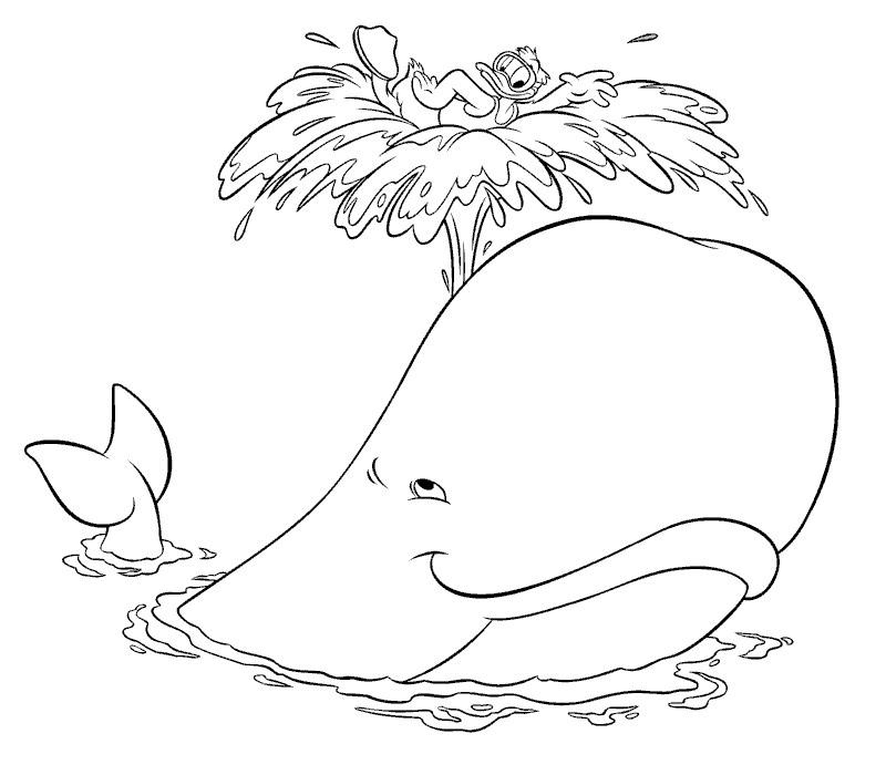 Coloring page: Whale (Animals) #878 - Free Printable Coloring Pages
