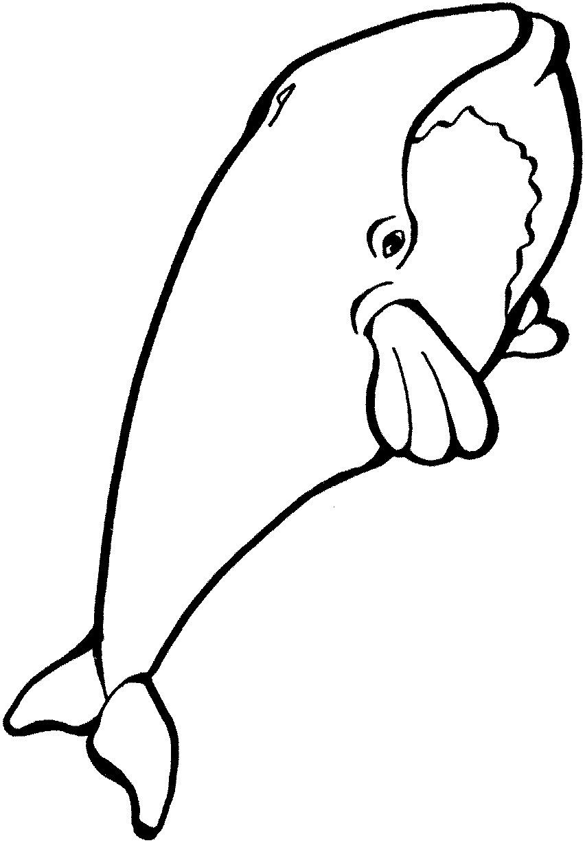 Coloring page: Whale (Animals) #880 - Free Printable Coloring Pages