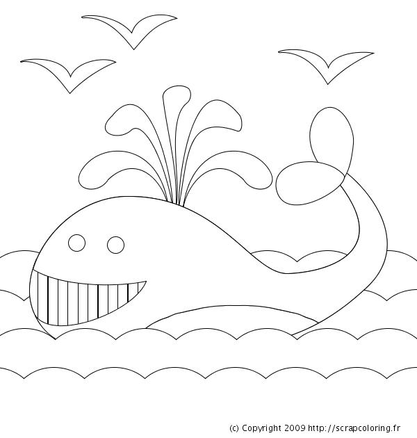 Coloring page: Whale (Animals) #889 - Free Printable Coloring Pages