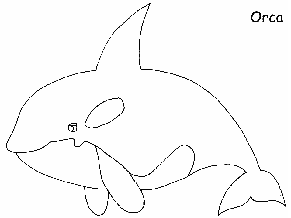 Coloring page: Whale (Animals) #891 - Free Printable Coloring Pages