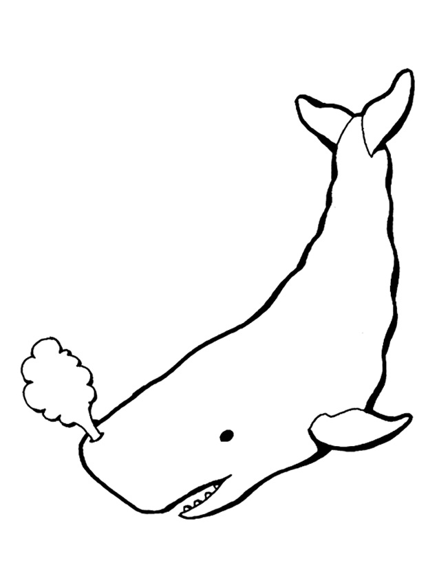 Coloring page: Whale (Animals) #896 - Free Printable Coloring Pages