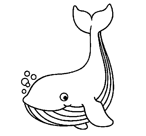 Coloring page: Whale (Animals) #906 - Free Printable Coloring Pages