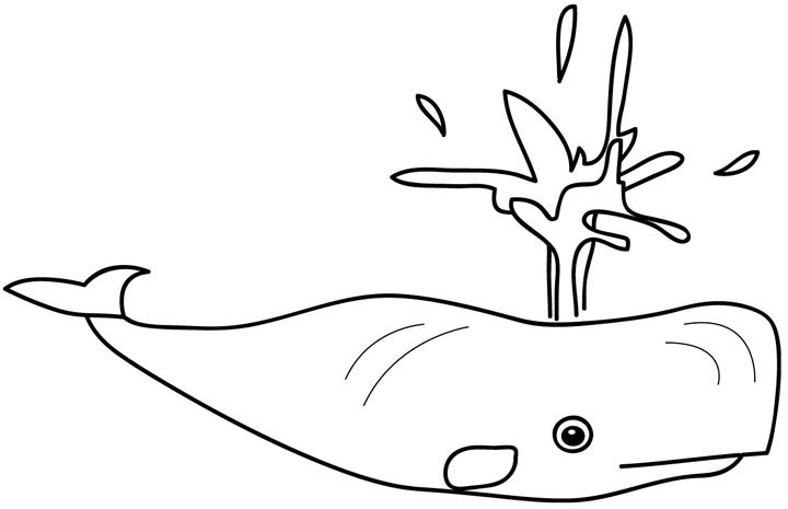 Coloring page: Whale (Animals) #908 - Free Printable Coloring Pages