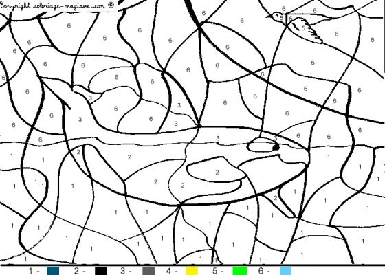 Coloring page: Whale (Animals) #912 - Free Printable Coloring Pages