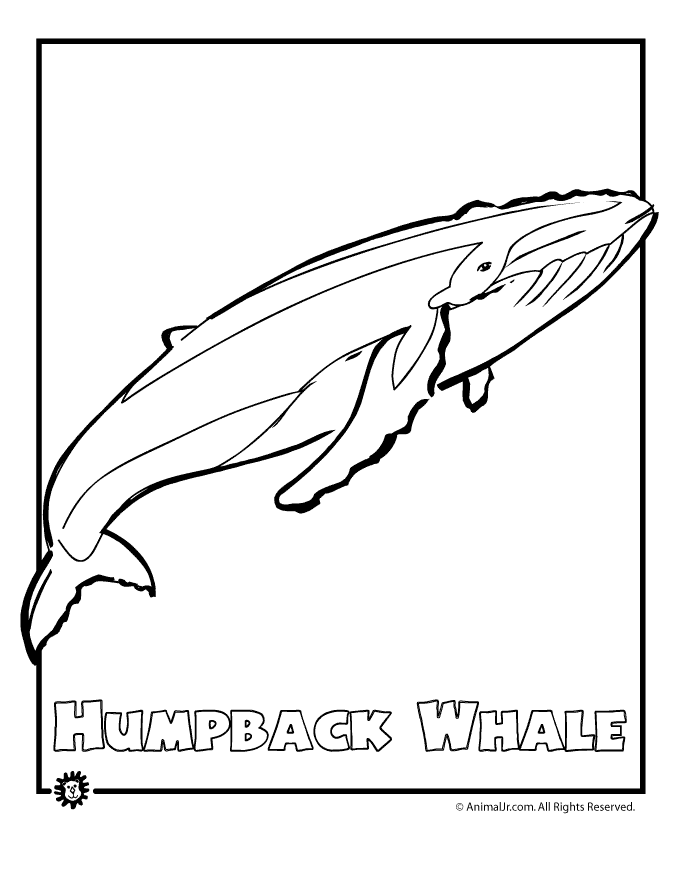 Coloring page: Whale (Animals) #915 - Free Printable Coloring Pages
