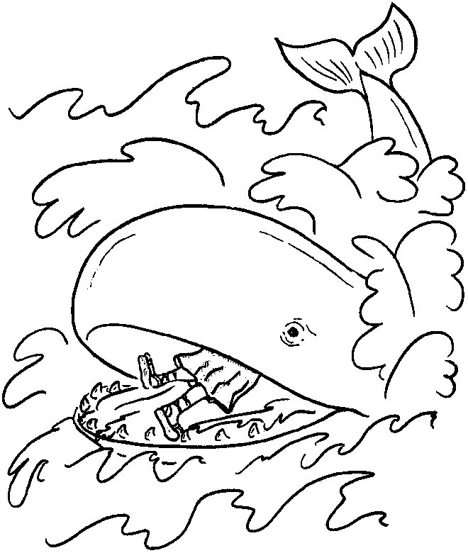 Coloring page: Whale (Animals) #916 - Free Printable Coloring Pages