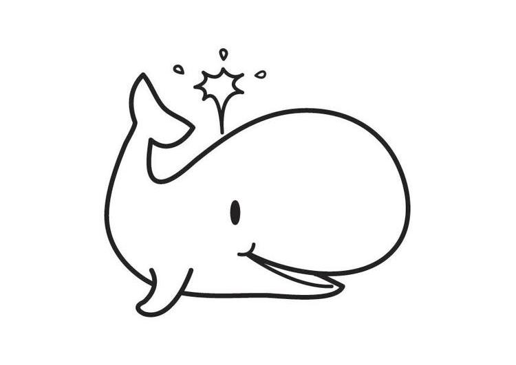 Coloring page: Whale (Animals) #918 - Free Printable Coloring Pages