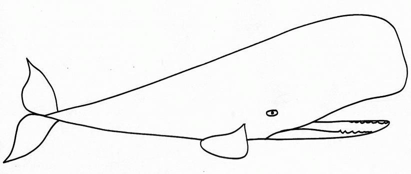 Coloring page: Whale (Animals) #929 - Free Printable Coloring Pages