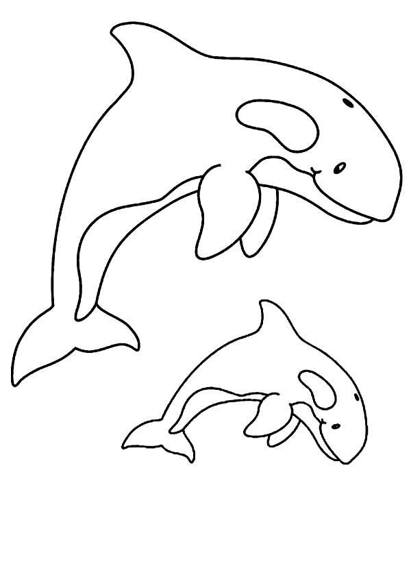 Coloring page: Whale (Animals) #932 - Free Printable Coloring Pages