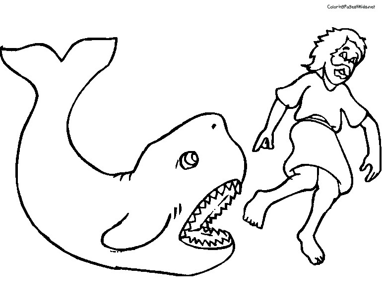 Coloring page: Whale (Animals) #956 - Free Printable Coloring Pages