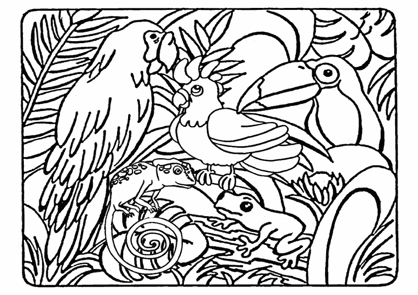 Coloring page: Wild / Jungle Animals (Animals) #21082 - Printable coloring pages