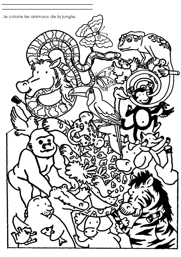 Coloring page: Wild / Jungle Animals (Animals) #21091 - Free Printable Coloring Pages