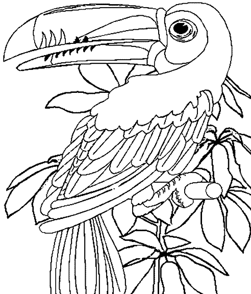 Coloring page: Wild / Jungle Animals (Animals) #21094 - Free Printable Coloring Pages