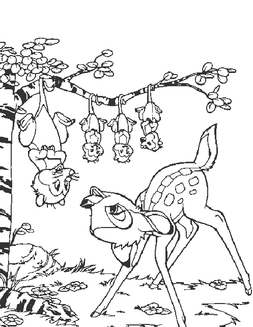 Coloring page: Wild / Jungle Animals (Animals) #21095 - Free Printable Coloring Pages