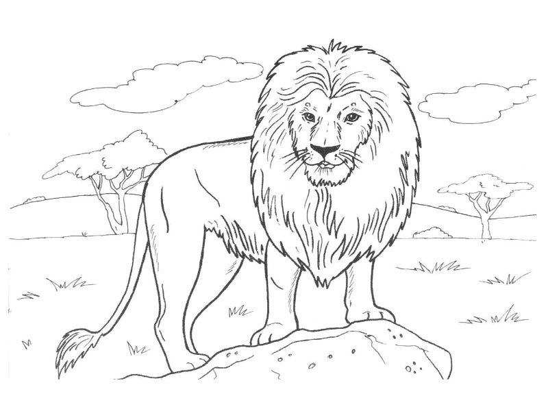 Coloring page: Wild / Jungle Animals (Animals) #21107 - Free Printable Coloring Pages