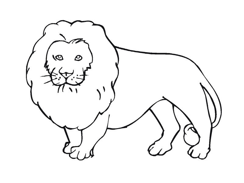 Coloring page: Wild / Jungle Animals (Animals) #21111 - Free Printable Coloring Pages