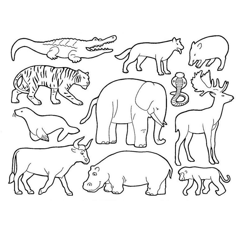 Coloring page: Wild / Jungle Animals (Animals) #21120 - Free Printable Coloring Pages