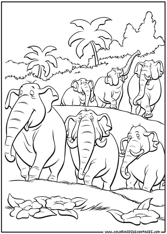 Coloring page: Wild / Jungle Animals (Animals) #21123 - Free Printable Coloring Pages