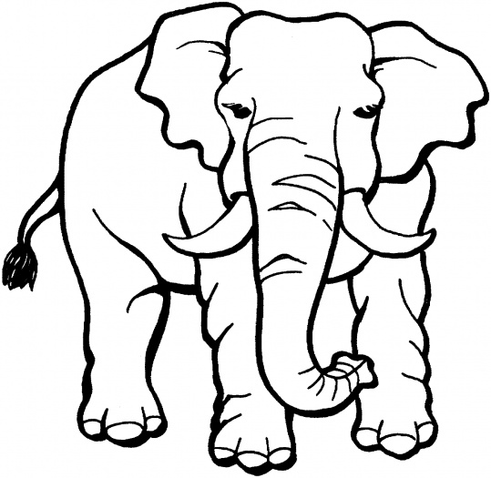 Coloring page: Wild / Jungle Animals (Animals) #21155 - Free Printable Coloring Pages