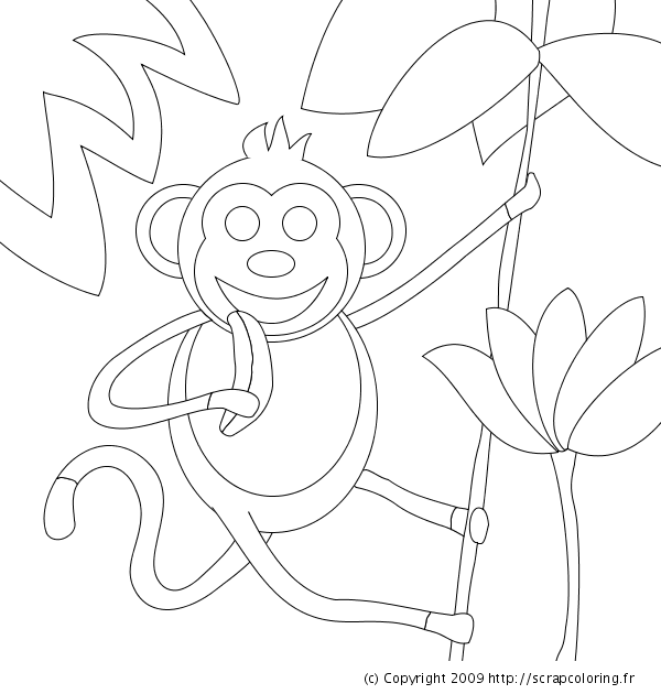 Coloring page: Wild / Jungle Animals (Animals) #21230 - Free Printable Coloring Pages