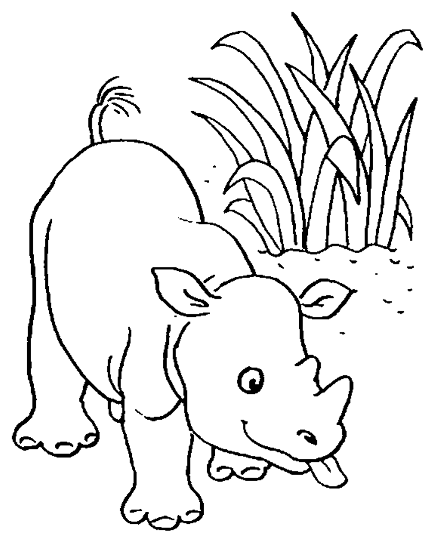 Coloring page: Wild / Jungle Animals (Animals) #21270 - Free Printable Coloring Pages