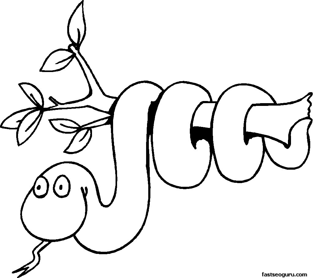 Drawing Wild / Jungle Animals #21293 (Animals) – Printable coloring pages