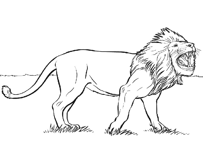 Coloring page: Wild / Jungle Animals (Animals) #21338 - Free Printable Coloring Pages