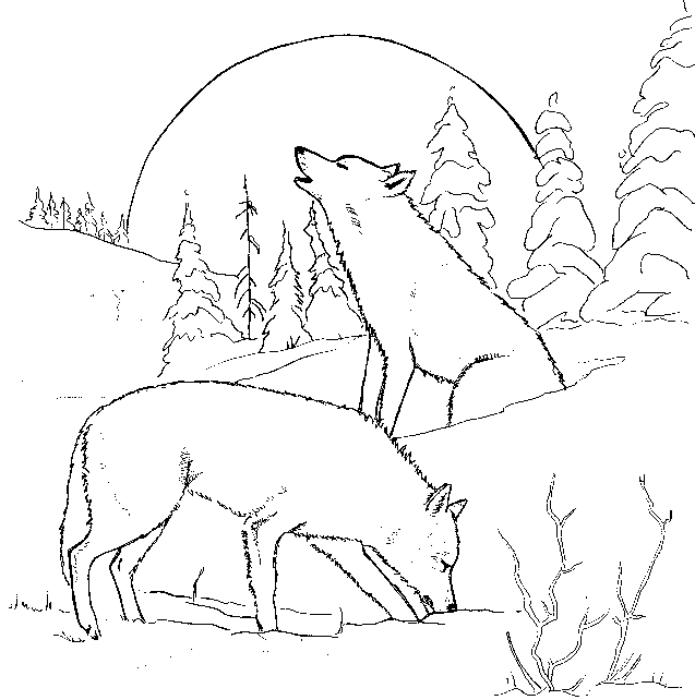 Coloring page: Wolf (Animals) #10439 - Free Printable Coloring Pages
