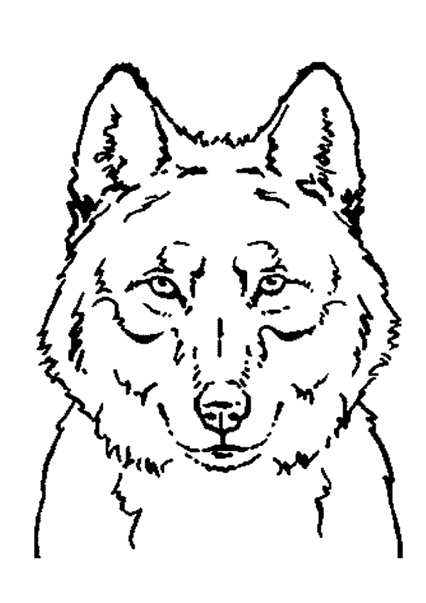 Coloring page: Wolf (Animals) #10450 - Free Printable Coloring Pages