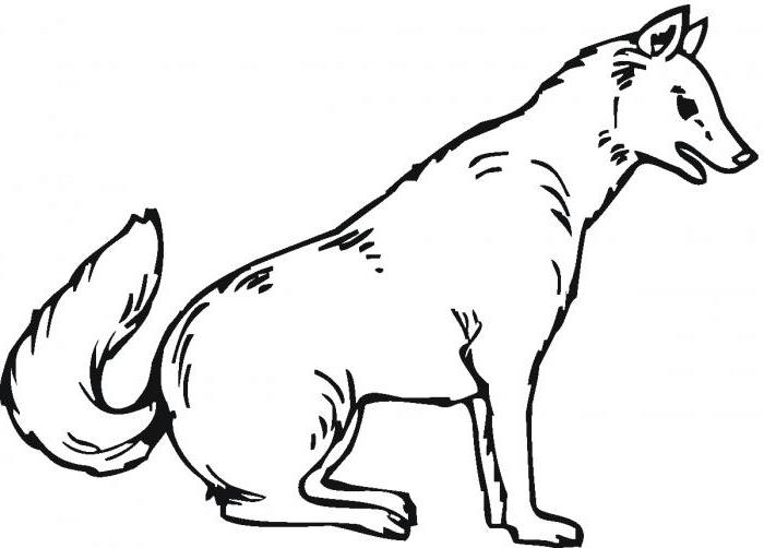 Coloring page: Wolf (Animals) #10452 - Free Printable Coloring Pages