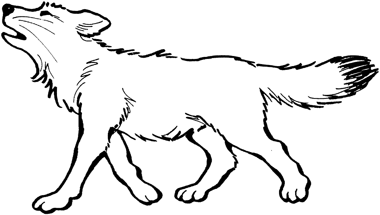 Coloring page: Wolf (Animals) #10456 - Free Printable Coloring Pages