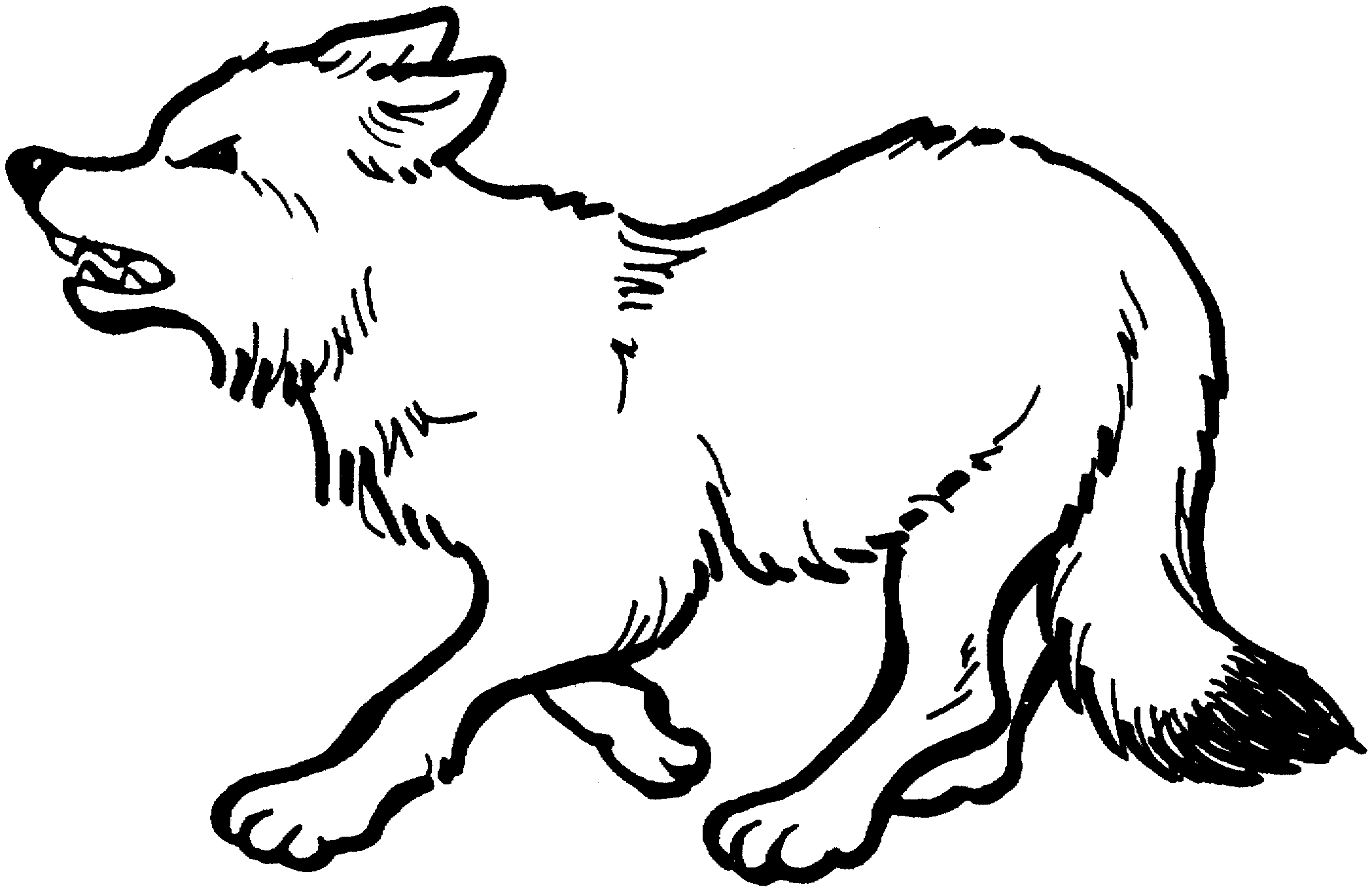 Coloring page: Wolf (Animals) #10475 - Free Printable Coloring Pages