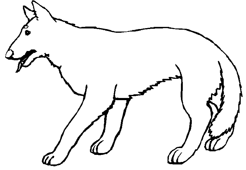 Coloring page: Wolf (Animals) #10505 - Free Printable Coloring Pages