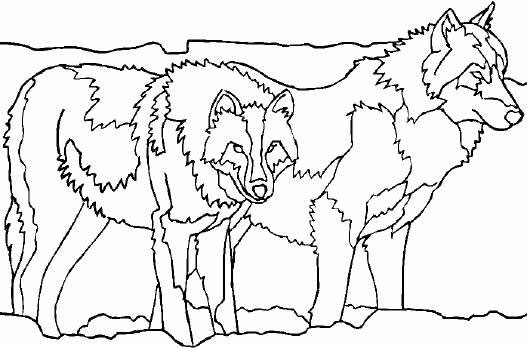 Coloring page: Wolf (Animals) #10535 - Free Printable Coloring Pages