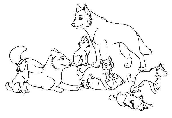 Coloring page: Wolf (Animals) #10556 - Free Printable Coloring Pages