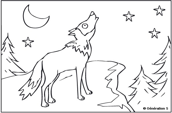 Coloring page: Wolf (Animals) #10558 - Free Printable Coloring Pages