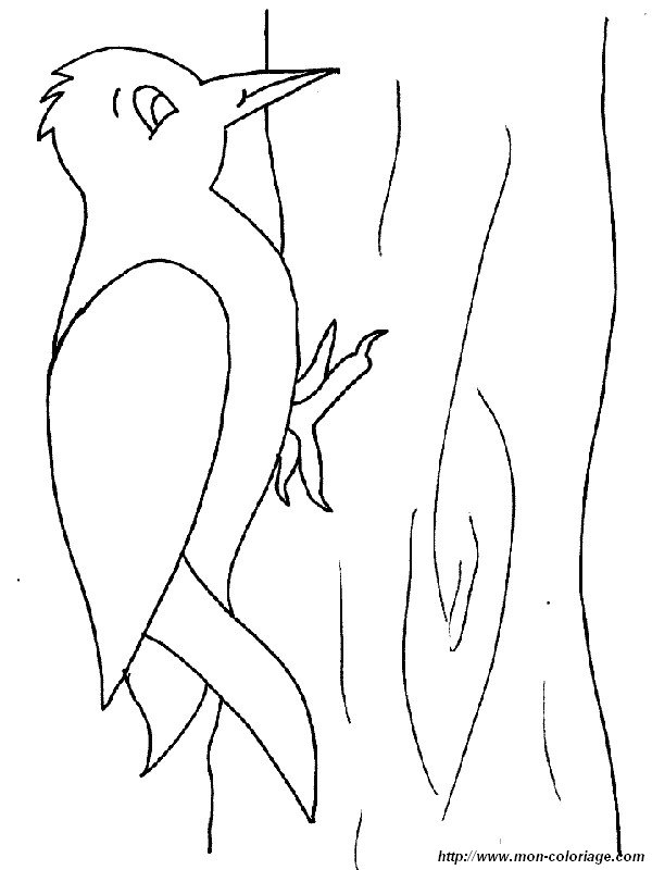 Coloring page: Woodpecker (Animals) #16721 - Free Printable Coloring Pages