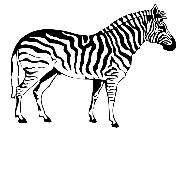 Coloring page: Zebra (Animals) #12940 - Free Printable Coloring Pages