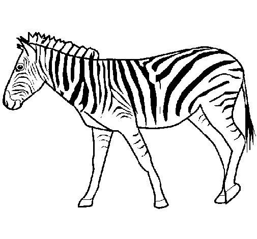 Coloring page: Zebra (Animals) #12953 - Free Printable Coloring Pages