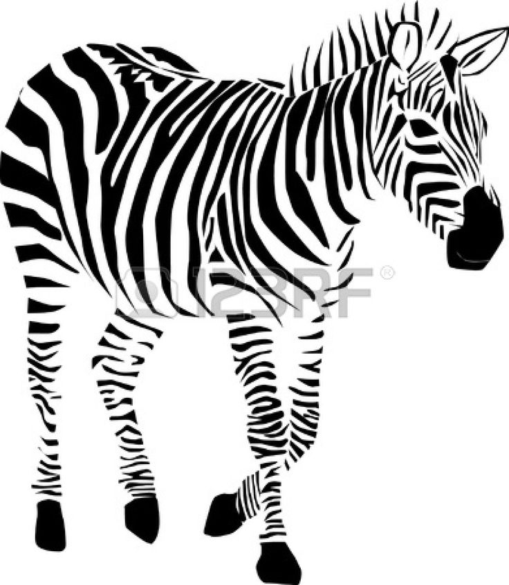 Coloring page: Zebra (Animals) #12957 - Free Printable Coloring Pages