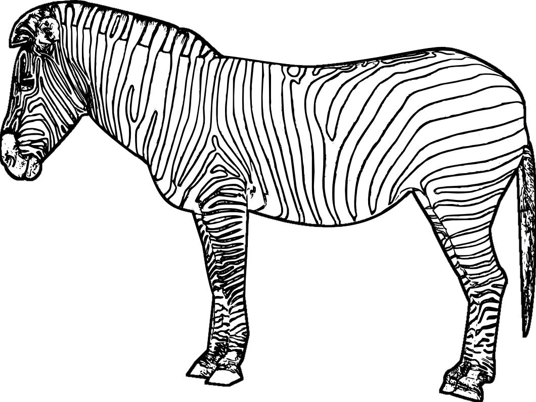 drawing zebra 12961 animals printable coloring pages
